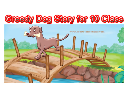 Greedy Dog Story