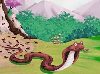 The Snake and the Ants Story
