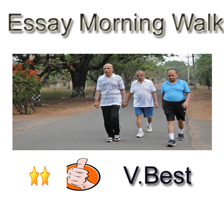 Essay Morning Walk For 10th Class