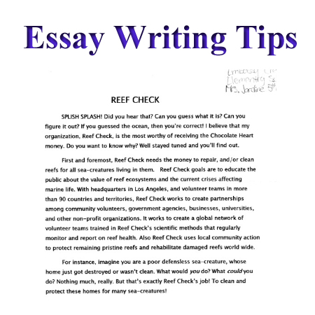 Essay Writing Tips to Boost Your Essay Grade Now