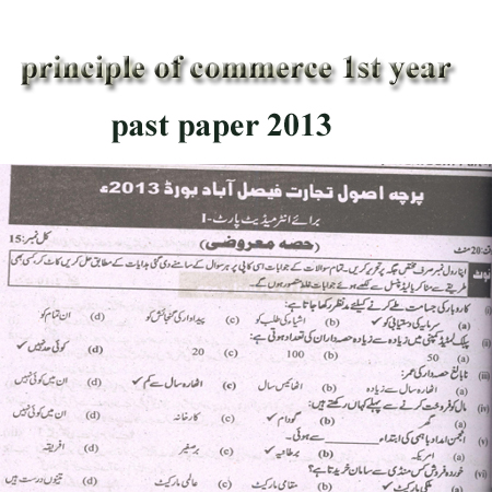 principle of commerce 1st year past paper 2013