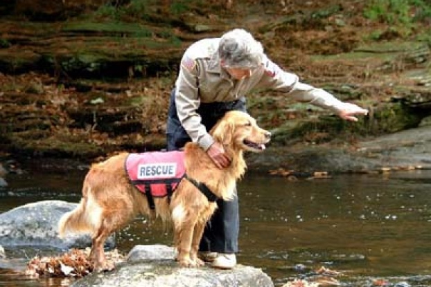 DO you Want to Know About Search and Rescue Dogs