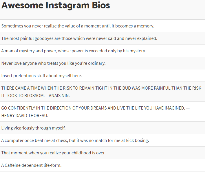 List of Funny Instagram Bios - ST Hint