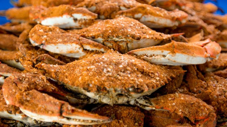 What’s the Difference Between Snow Crab and King Crab