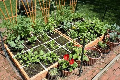 How much the grow bags are useful for kitchen gardening