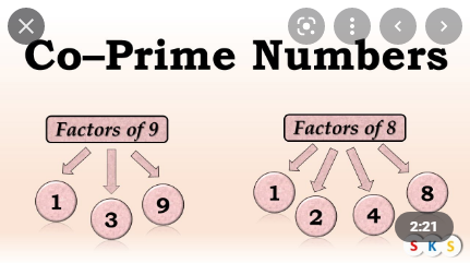 Why is it Important for the Kids to be Clear About Co-Prime Numbers?