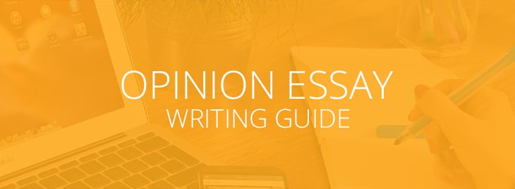 What are the basic opinions for writing essays?