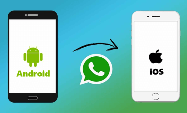 Reliable Solutions in the Market for Transferring WhatsApp Data from  iPhone to Android