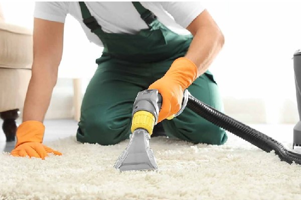 Everything you need to know about Carpet Cleaning Services!