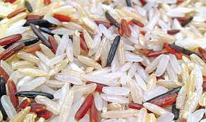 role of rice in pakistani economy