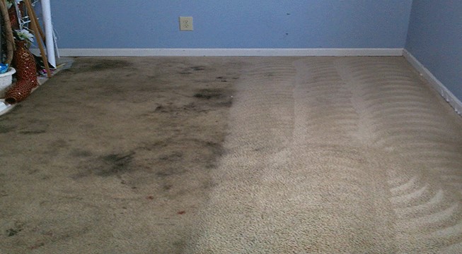 Few Noteworthy Benefits For Carpet Cleaning You Should Include