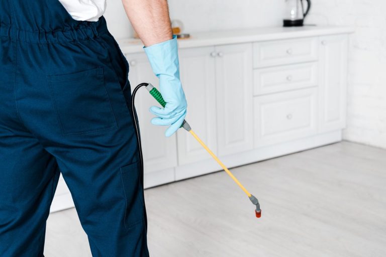 Pest Control Services Are Not Only Necessary But Also Mandatory To Meet Cleanliness