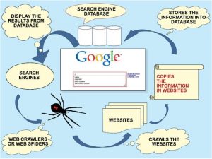 Do Online People Search Engines Work