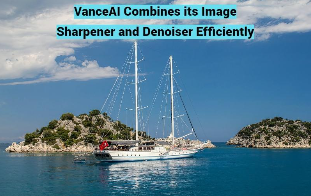 VanceAI Combines Its Image Sharpener and Denoiser Efficiently