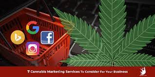 CBD SEO: Promote your Cannabis Business Online