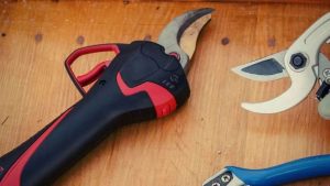 5 benefits of Electric Pruners That You Must Know