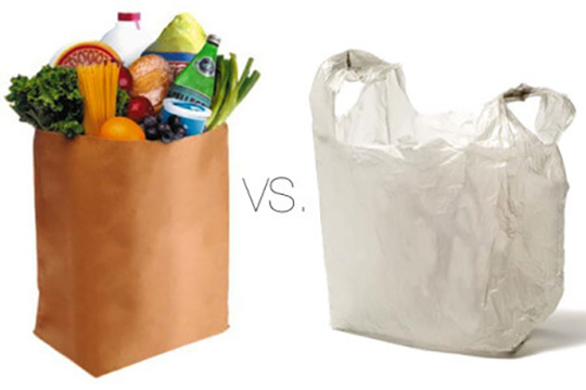 Difference between Disposable Bag and Paper Bag