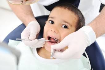 The Importance of Regular Visits to the Dentist