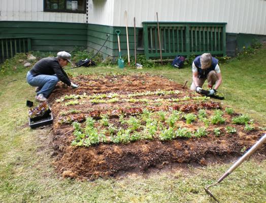 The Art of Layering: A Guide to Lasagna Gardening in Raised Beds