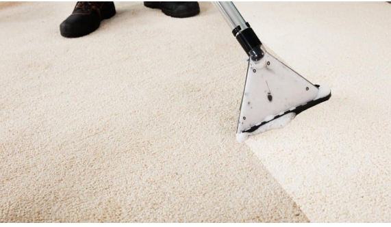 Professional Carpet Cleaning: Why It’s Worth the Investment
