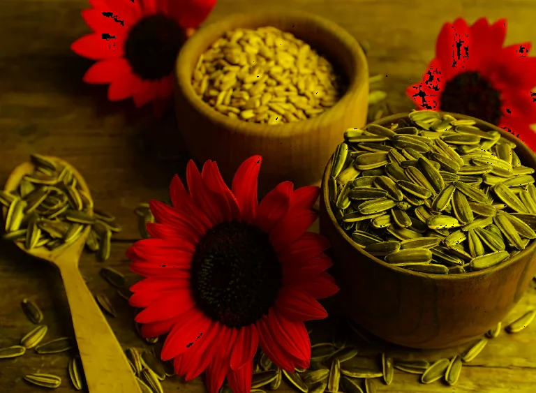 The Hidden Delights of Sunflower Seeds: A Nutritional Powerhouse
