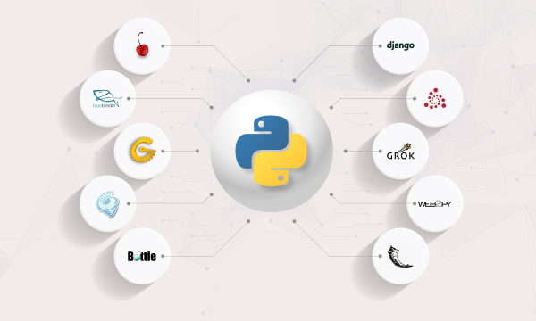 How Popular is Python for Web Development?