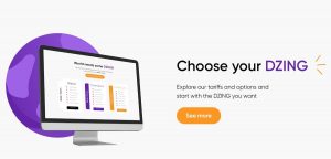 DZING Review – Money Management Made Hassle Free