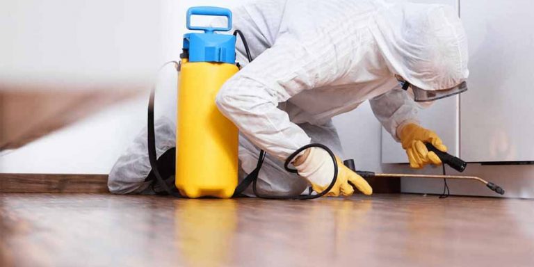 How To Eradicate Unwanted Pests From Your Household