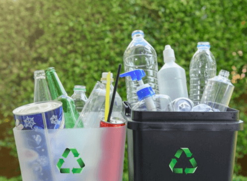 From Waste to Resource: Bottle Depot Recycling’s Environmental Impact