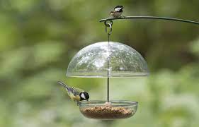 Hanging Hook Bird Feeder: A Convenient Solution for Attracting Birds