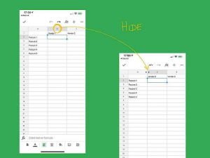 WPS Office to Hide Columns Safely