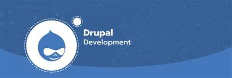 Drupal Development Services: The Key to Creating a Dynamic and User-Friendly Website