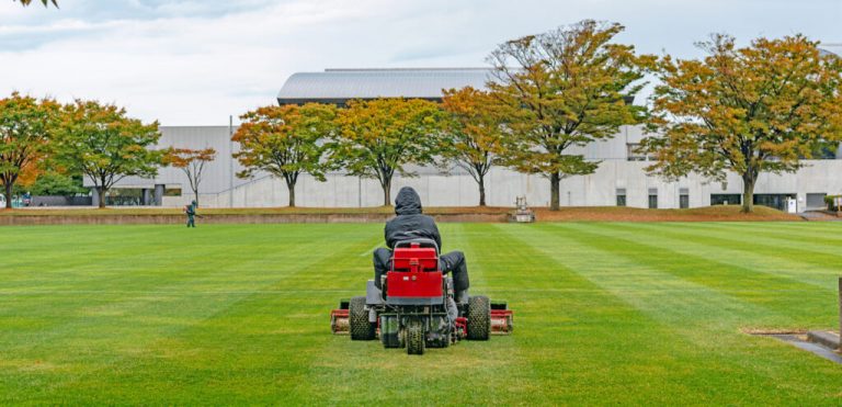 Enhancing Your Business with Professional Business Landscaping, Commercial Grounds Maintenance
