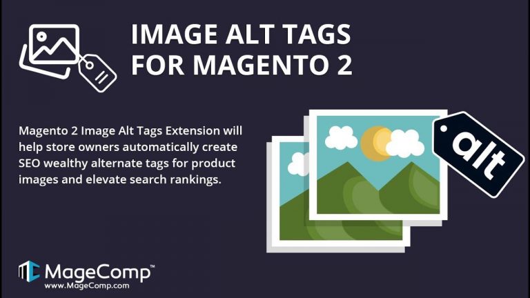The Road to SEO Success:  Elevating Your Magento 2 Store with Image Alt Tags