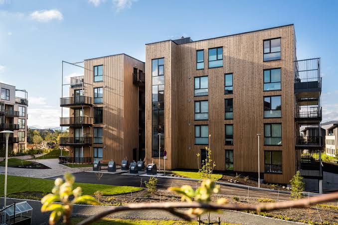 Choosing the Right Timber for Your Cladding Project: Tips and Best Practices