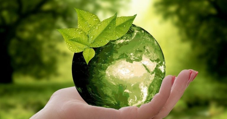 Why Every Business Should Switch to Eco-Friendly Printing