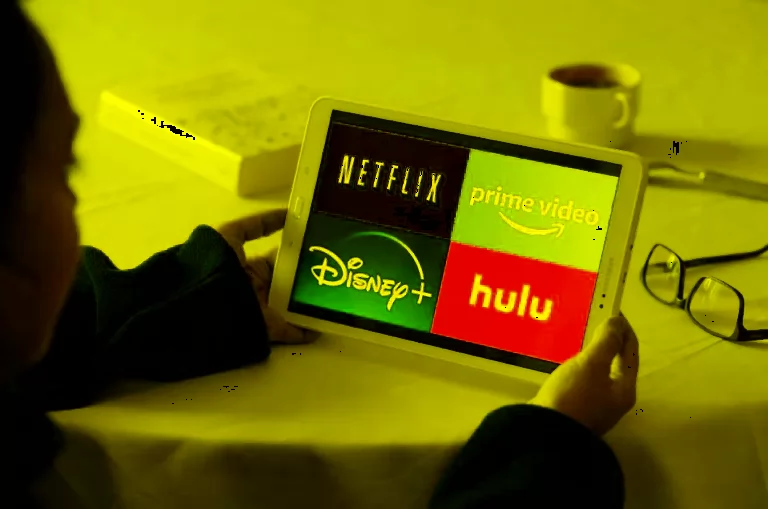 Cutting Costs, Not Content: Exploring Affordable Streaming Services