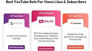 Bots for Youtube: How They Effect the Platform
