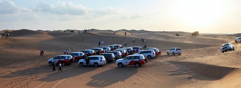 How to Choose the Right Desert Safari Dubai for You: