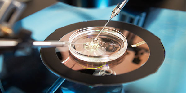 The Evolution of Assisted Reproductive Technologies Over the Decades
