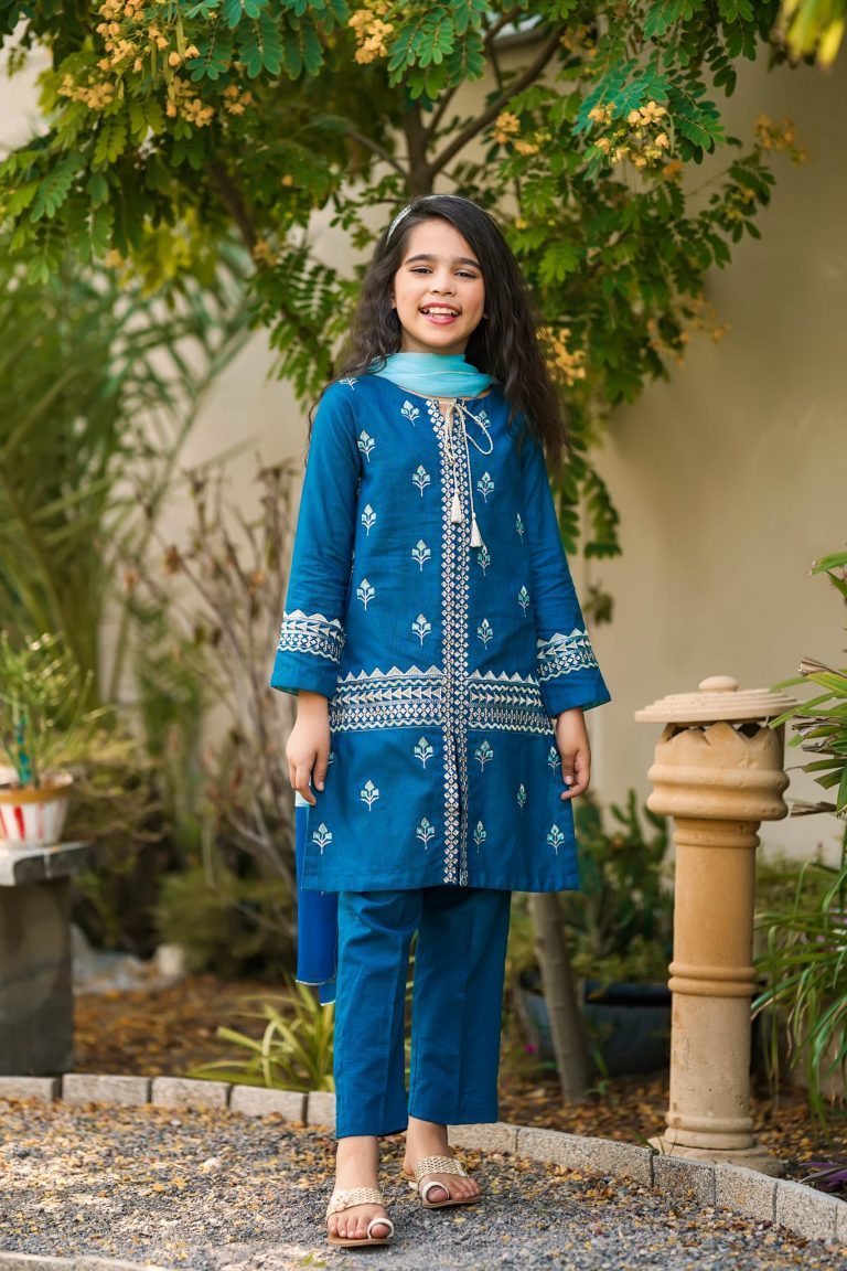 Beautiful Pakistani Clothes Online in the USA