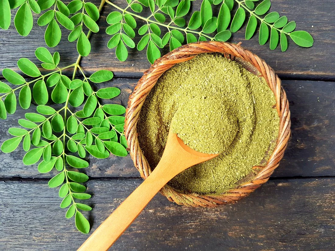 Discover 6 Crucial Health Benefits Of Moringa Powder