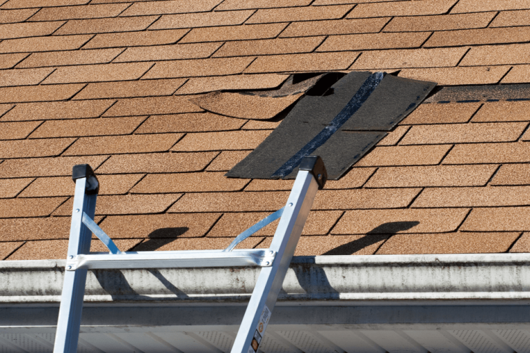 Are You in Need of a Roof Estimate in Austin?