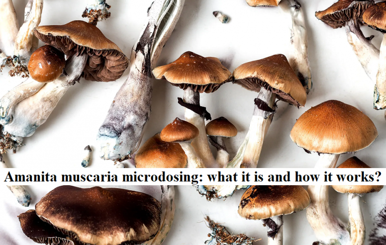Amanita muscaria microdosing: what it is and how it works?