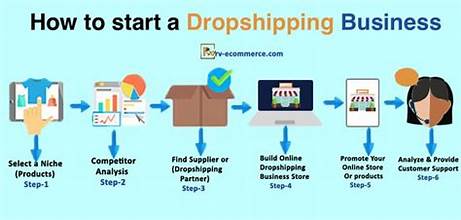Unveiling Success: A Comprehensive Dive into Dropship Insight  Introduction