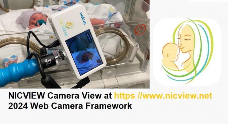 NICVIEW Camera View at https //www.nicview.net 2024 Web Camera Framework