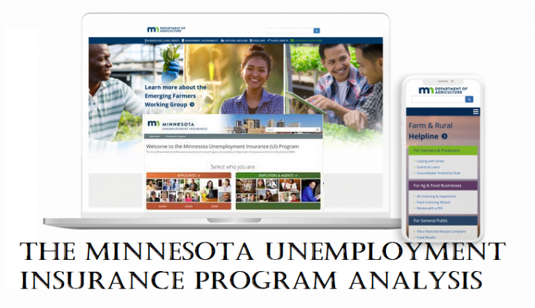 The Minnesota Unemployment Insurance Program Analysis