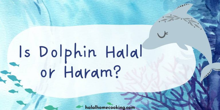 Is Dolphin Halal? The Shocking Truth Revealed