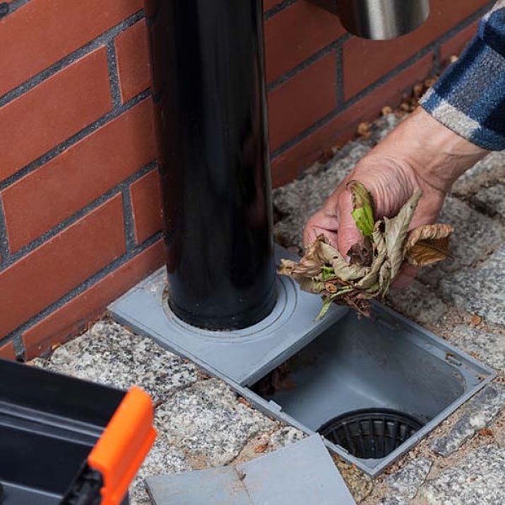 The Common Causes of Blocked Drains in Sydney