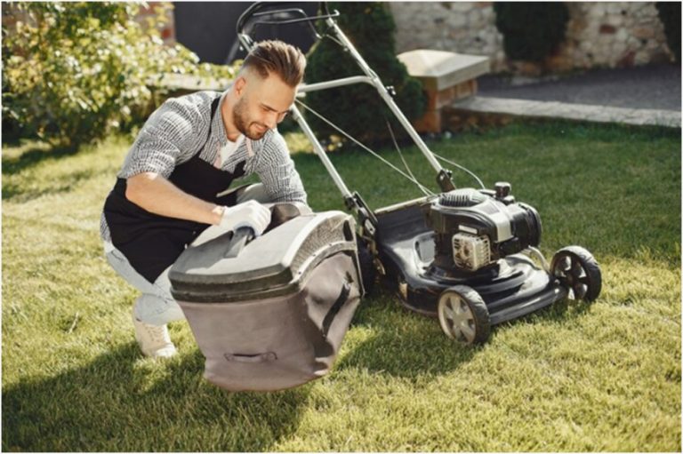 Expert Insights: Fine-Tuning Your Lawn Care Program for Results